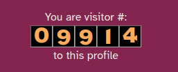Site visitor counter that reads -9914