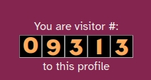 My profile visitor count image reading 09313